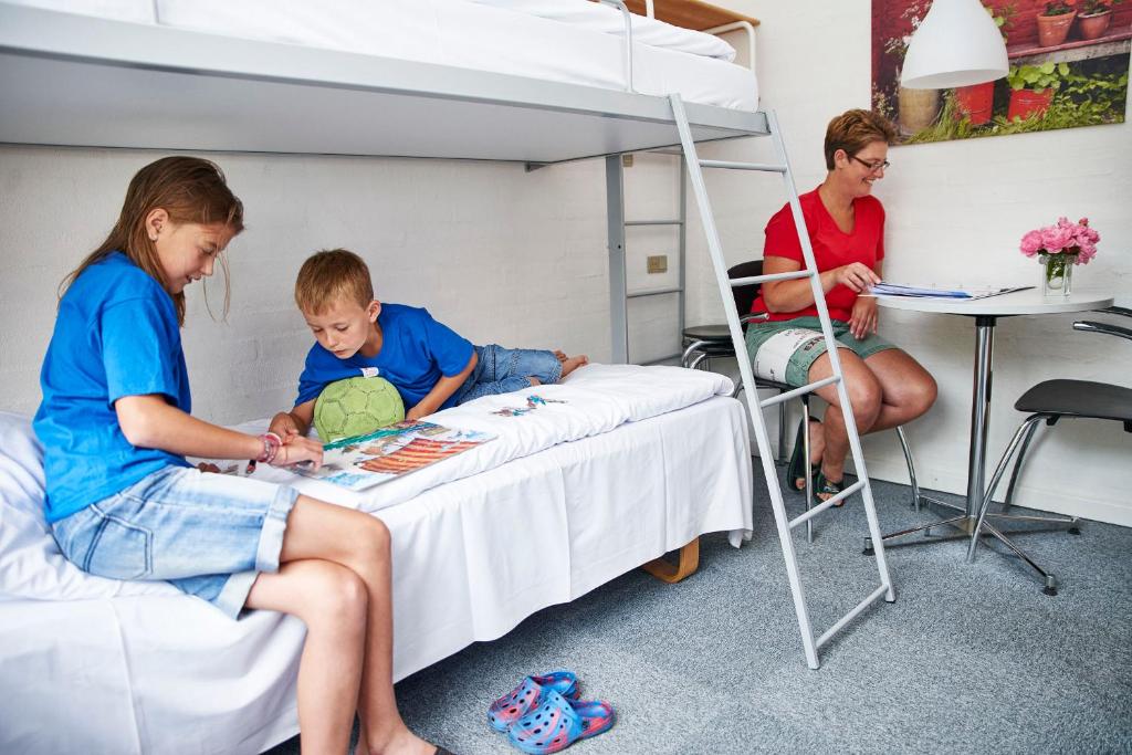 Majutusasutuse Danhostel Ribe külastajad
