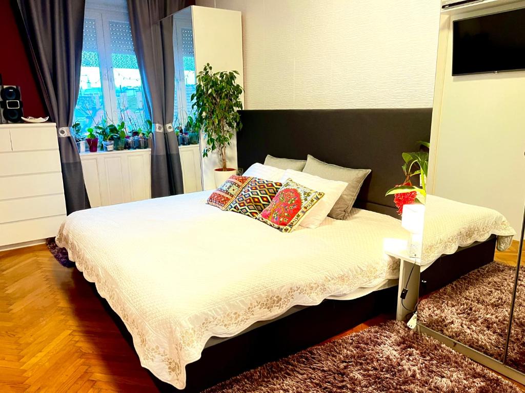 Margaret Bridge Best spot Apartment 1027 Budapest, Margit Körút 1 kép - 1