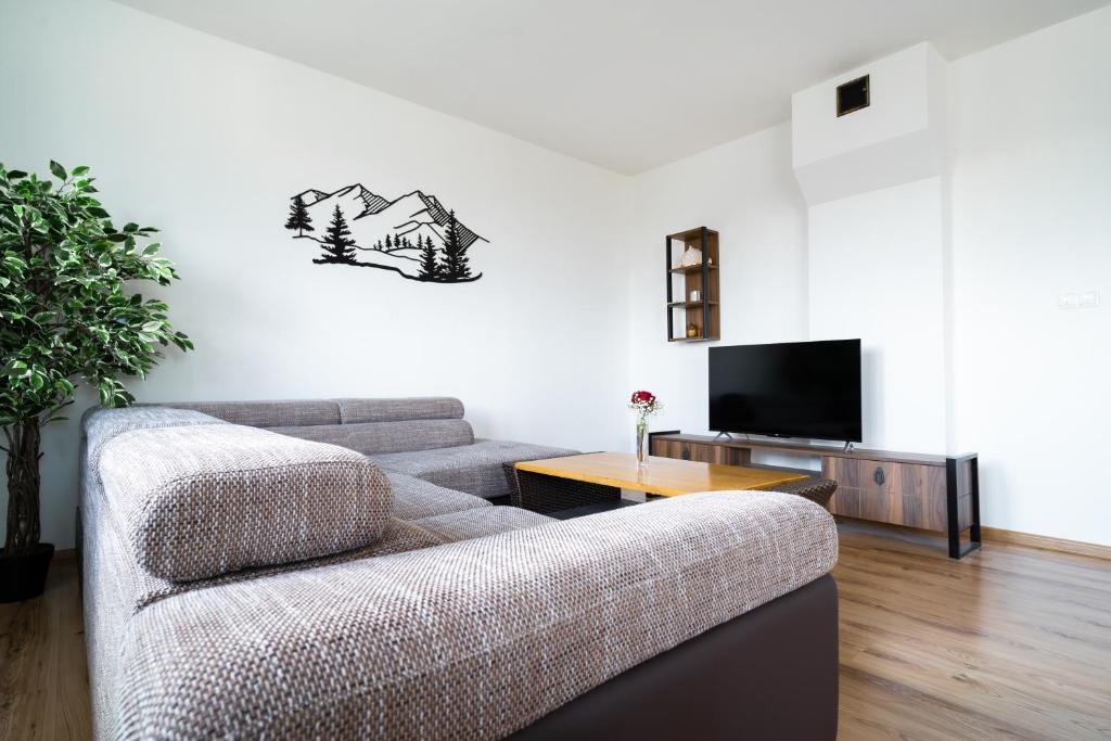 TV a/nebo společenská místnost v ubytování Apartmán Filip&Luky