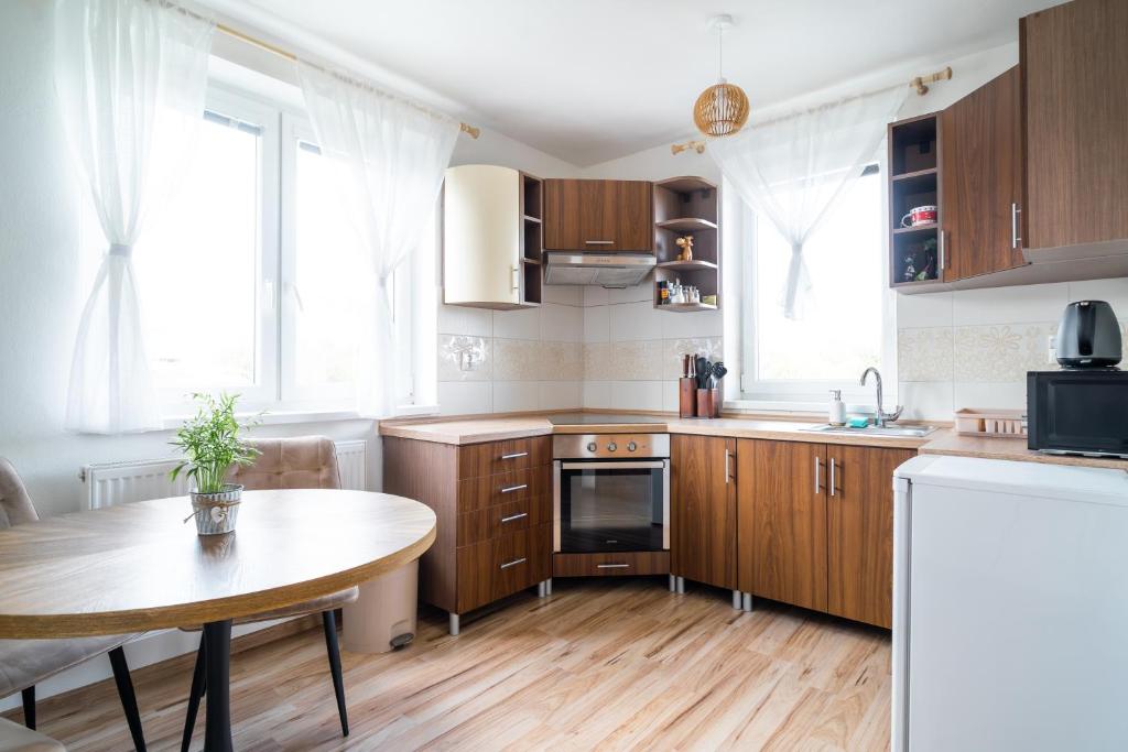 Kuchyň nebo kuchyňský kout v ubytování Apartmán Filip&Luky