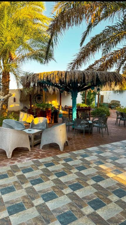 Fotografie z fotogalerie ubytování Miramar Camp Dahab v destinaci Dahab