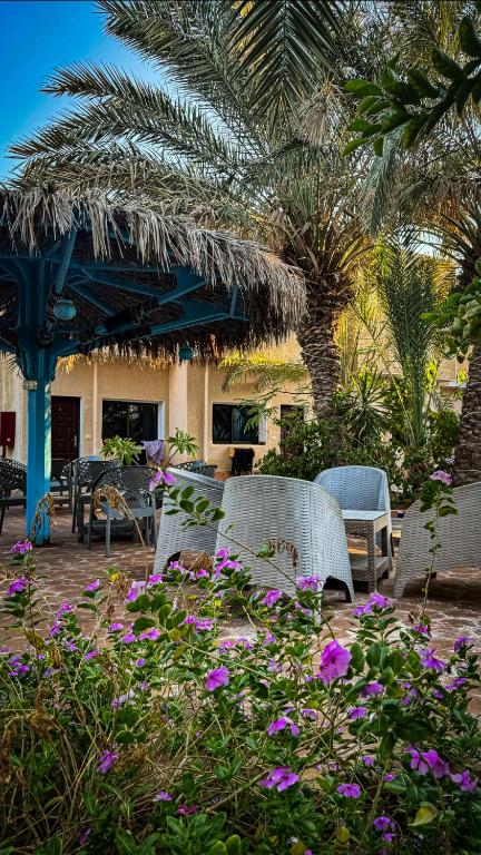 Zahrada ubytování Miramar Camp Dahab