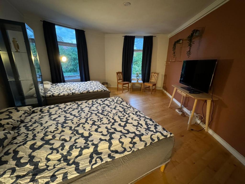 RELAXED LIVING No 02 Historic Oslo - Resim 5