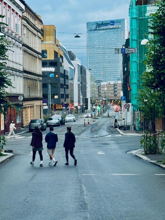 RELAXED LIVING No 02 Historic Oslo - Resim 41