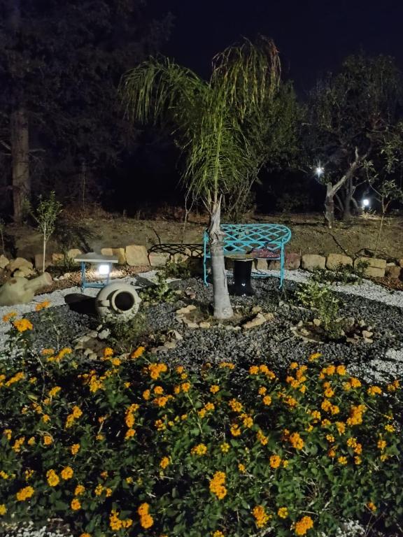 Vonkajšia záhrada v ubytovaní La Villa di Minerva