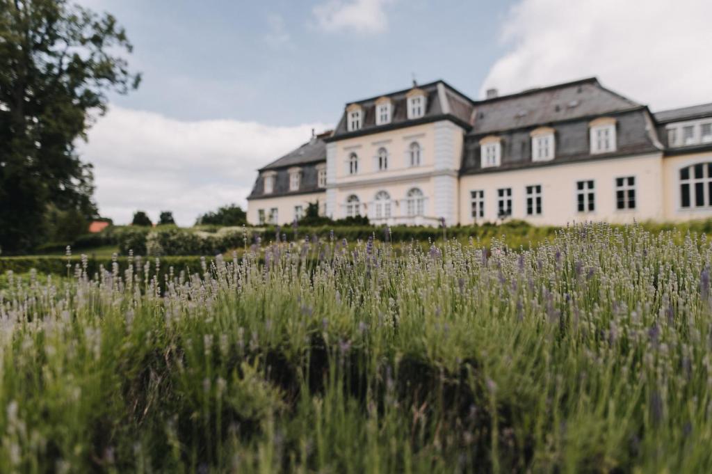 Zahrada ubytování THERESET Schloss Groß Plasten