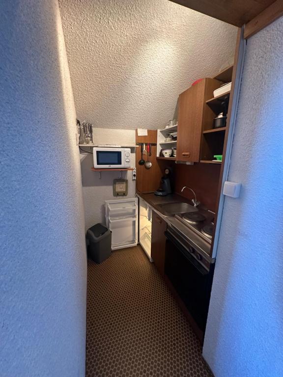 une petite cuisine avec un évier et un micro-ondes dans l'établissement La Reine des Neiges au Clematite, à Risoul