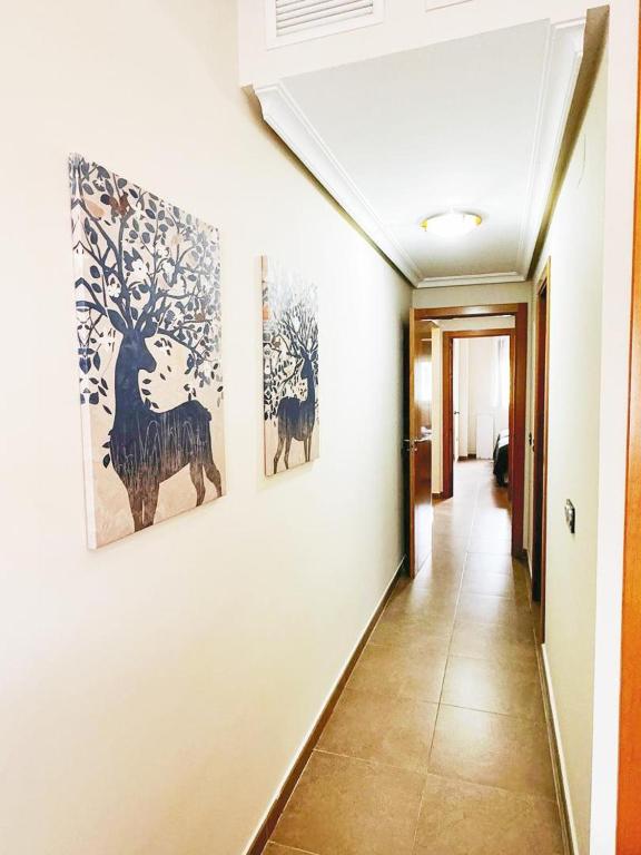 SOL ZEN HOME