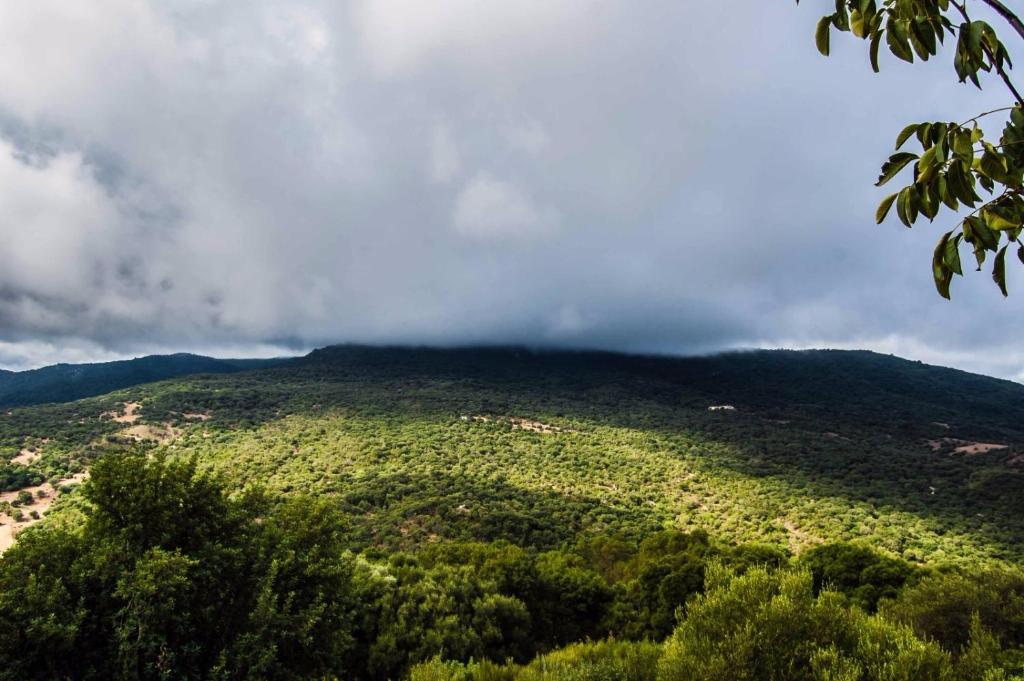 Gallery image of Mirador de Mulera in Ubrique