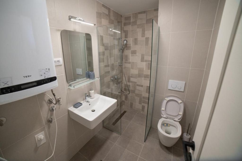 A bathroom at Divčinova S4