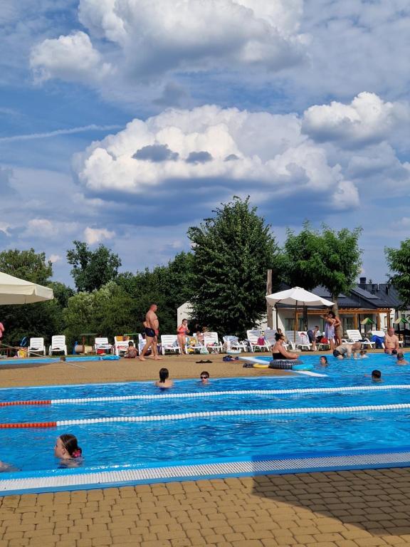 Bazén v ubytovaní Domek na wsi alebo v jeho blízkosti