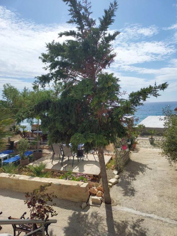 a tree in a park next to the ocean at Kima House in Kalamaki