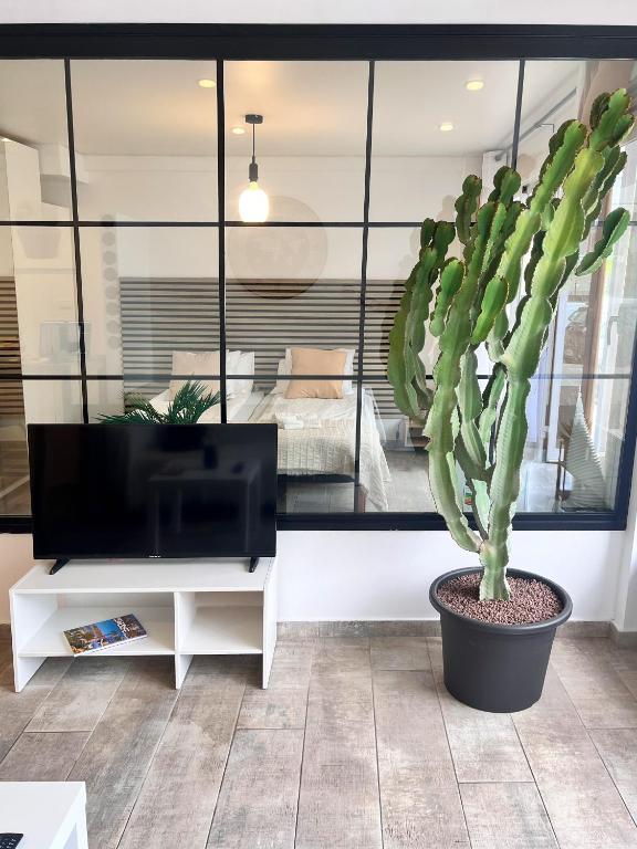 Cactus Apartment, Playa Faabe (updated prices 2026)