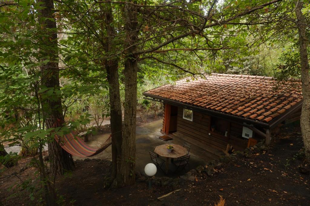 Príroda v okolí horskej chaty