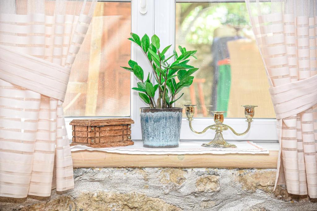 Old House Kontic - 14