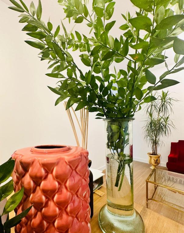 Autentic Boutique Moncloa - Resim 30