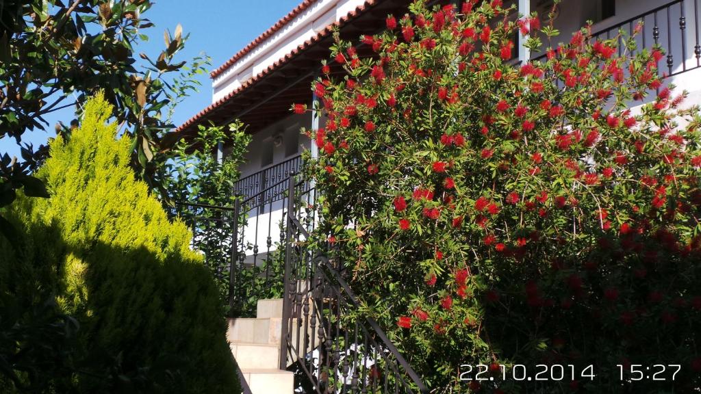 Skiathos Studios Panorama - 16