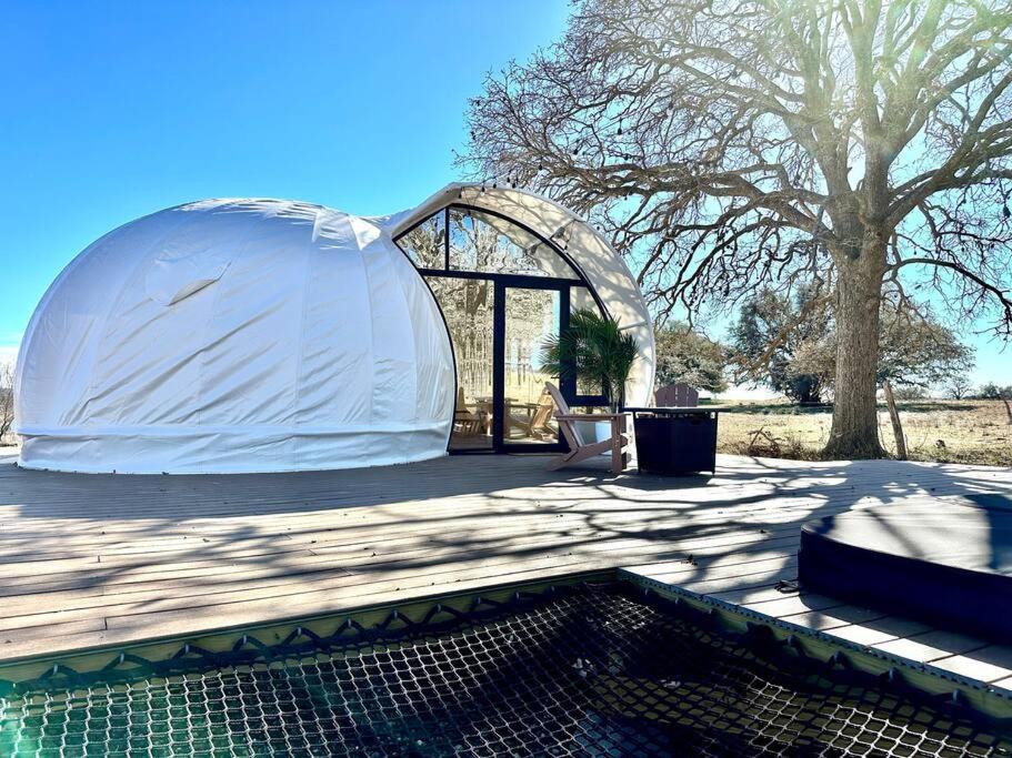 une tente dôme blanche assise à côté d'un arbre dans l'établissement Lyra at the Retreat, à Fredericksburg