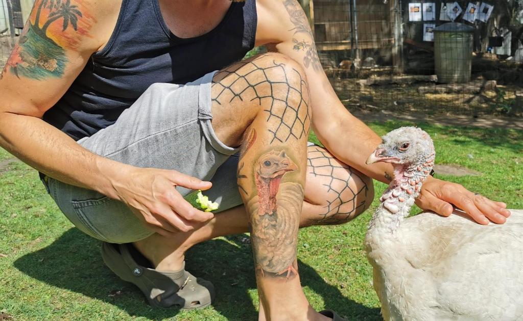 Hosté ubytování The Base Vegan Retreat Animal Sanctuary