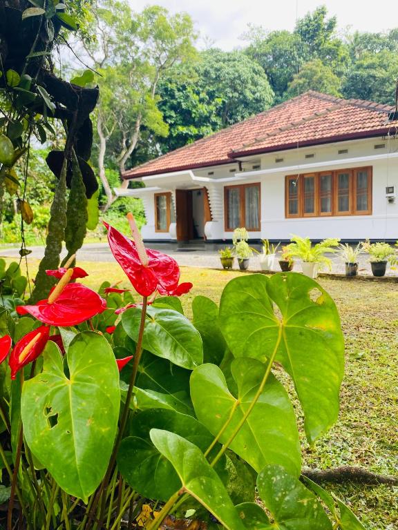 Zahrada ubytování Happy Valley Residence Unawatuna