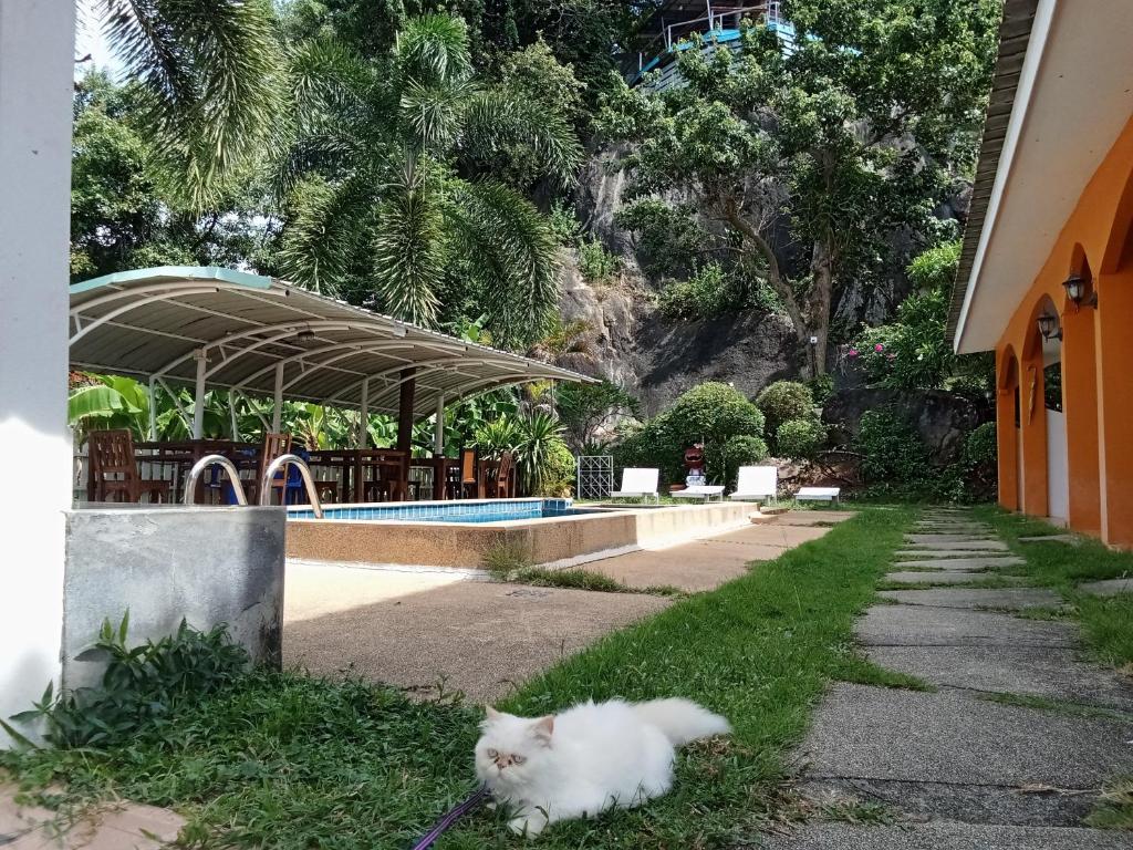 Zahrada ubytování Private Lodge Beachside Samui Lamai