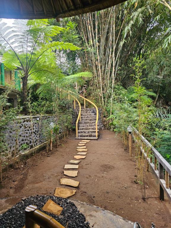 Giardino di Bamboohouse pondok salacca #salacca inn