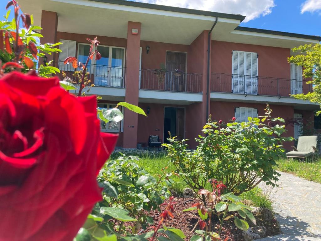 Zahrada ubytování Casa Finestre Bianche