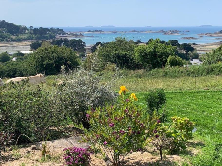 a field of flowers with the ocean in the background at Bug Ar Mor - Vue Exceptionnelle des 7 Îles in Penvénan