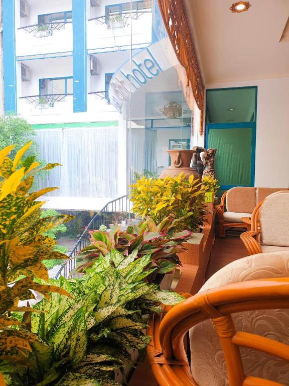 Khu vực ghế ngồi tại Green Nha Trang