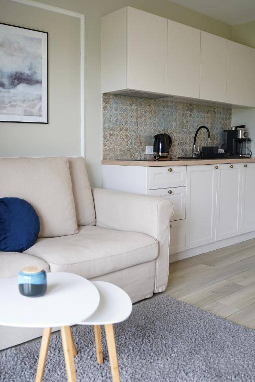 Kuchyňa alebo kuchynka v ubytovaní Apartamenty na Dworskiej - BLISKO ENERGYLANDIA ZATORLAND