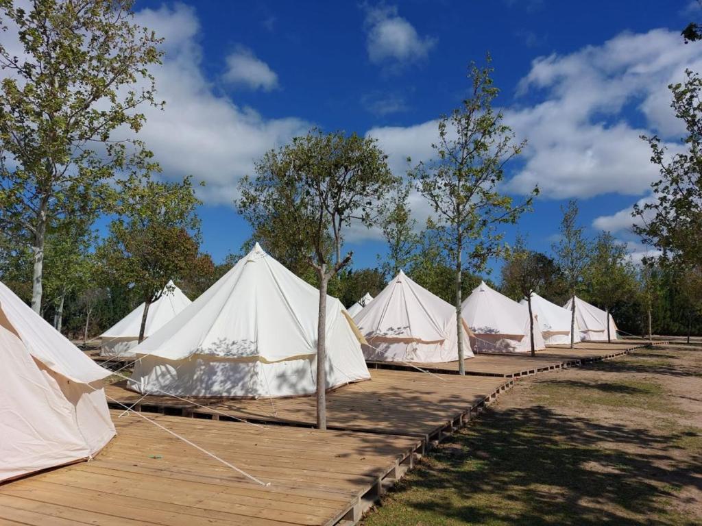 Fotografie z fotogalerie ubytování Bungalows Zaragoza Camping v destinaci Zaragoza