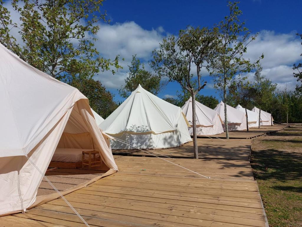 Fotografie z fotogalerie ubytování Bungalows Zaragoza Camping v destinaci Zaragoza