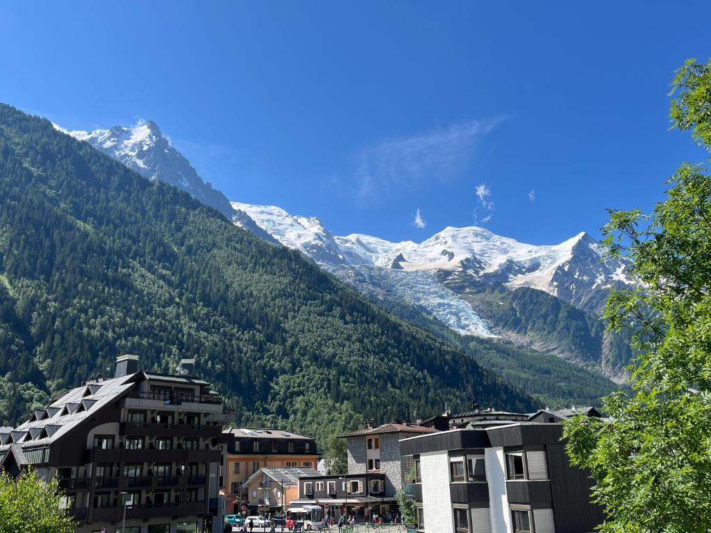 - une vue sur une montagne recouverte de neige dans l'établissement Residence VARLOPE, à Chamonix-Mont-Blanc