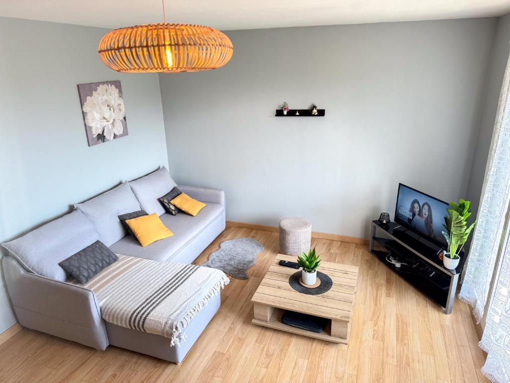 un salon avec un canapé et une table dans l'établissement Le Balcon des Marots - Proche centre-ville Troyes, à Troyes