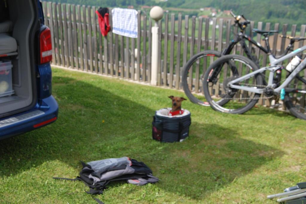 Fotografie z fotogalerie ubytování Weinberg-Panorama- Camping v destinaci Höch