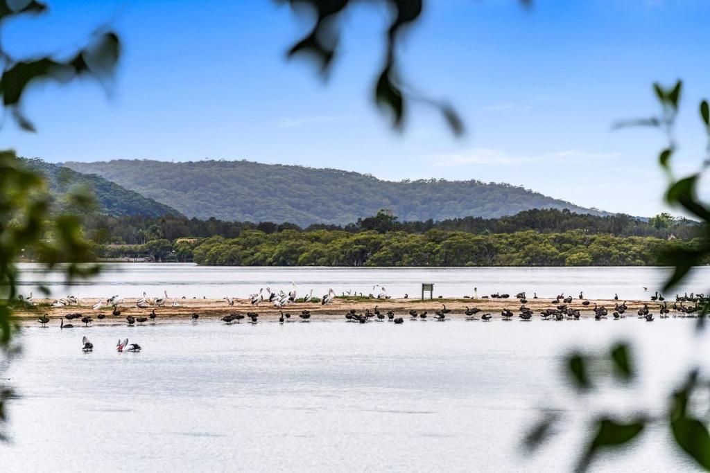 Gallery image of Waterfront Vista with Jetty Access Woy Woy in Woy Woy