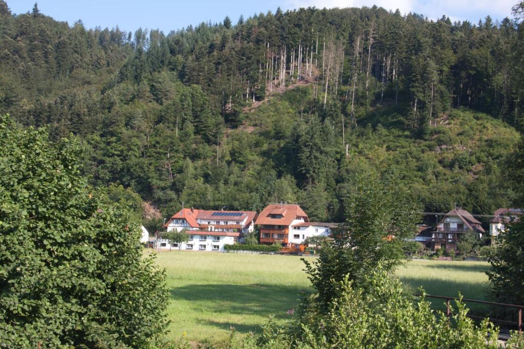 eine Gruppe von Häusern vor einem Berg in der Unterkunft Ferienwohnung am Rain in Winden im Elztal