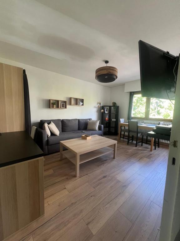 un salon avec un canapé et une table basse dans l'établissement Charmant Studio à 5 min du Lac, à Annecy