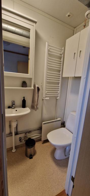 Koupelna v ubytování Skútustadir Guesthouse