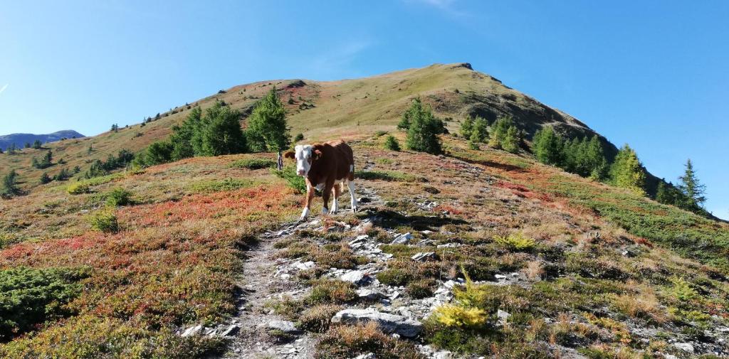 Natuurlandschap vlak bij het appartement