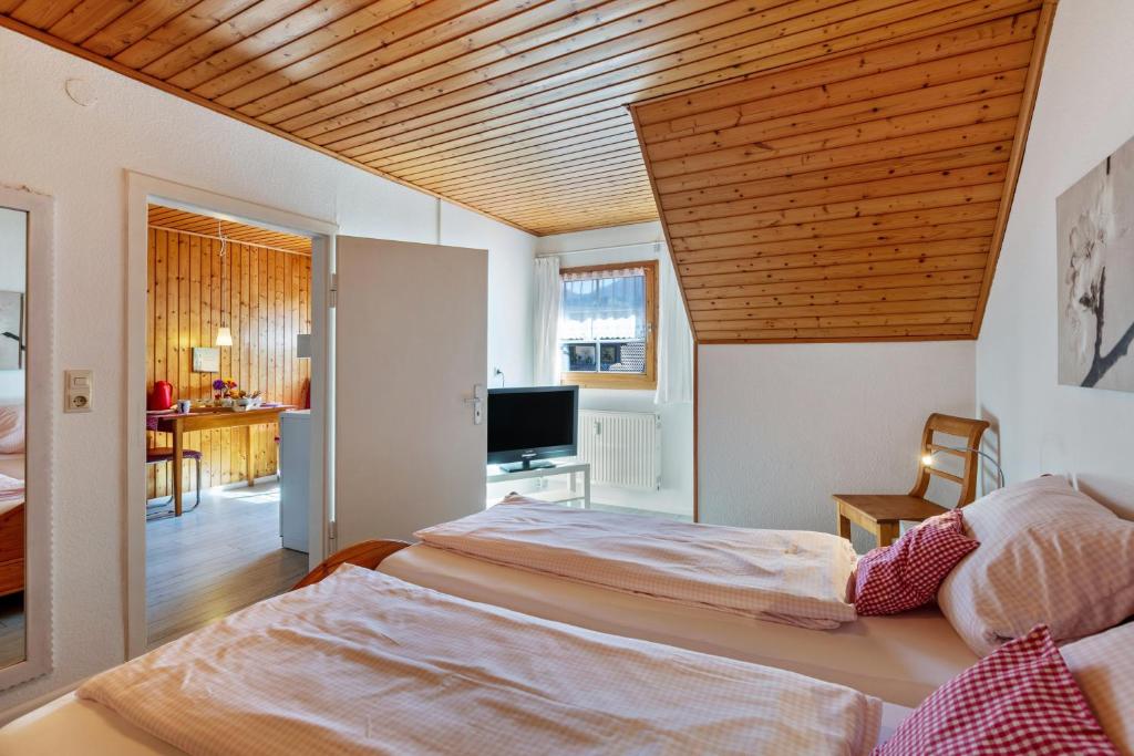 a bedroom with two beds and a television in it at Haus Am Bühl in Schönau im Schwarzwald