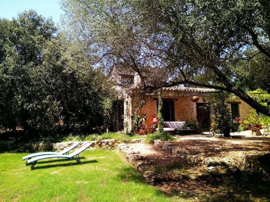 Κήπος έξω από το Finca SAlzinar