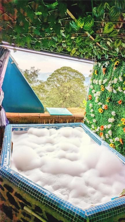 Fotografie z fotogalerie ubytování Glamping Reserva del Roble v destinaci La Vega