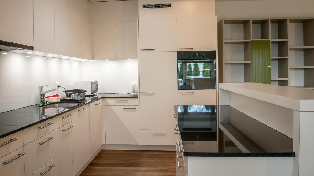 Kuchyň nebo kuchyňský kout v ubytování City Apartments