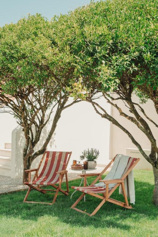 Collares Sintra Petit Palais - 6