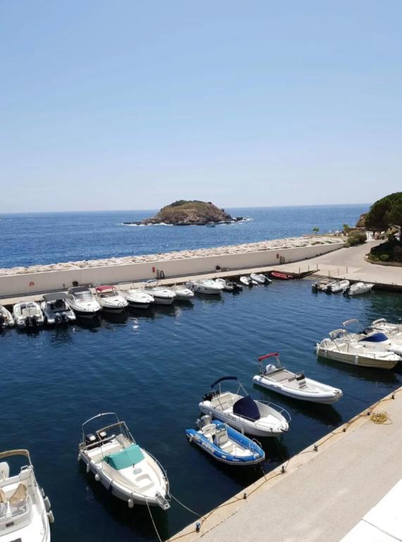 a bunch of boats are docked in a marina at Appart vue d'exception sur la mer in Bandol