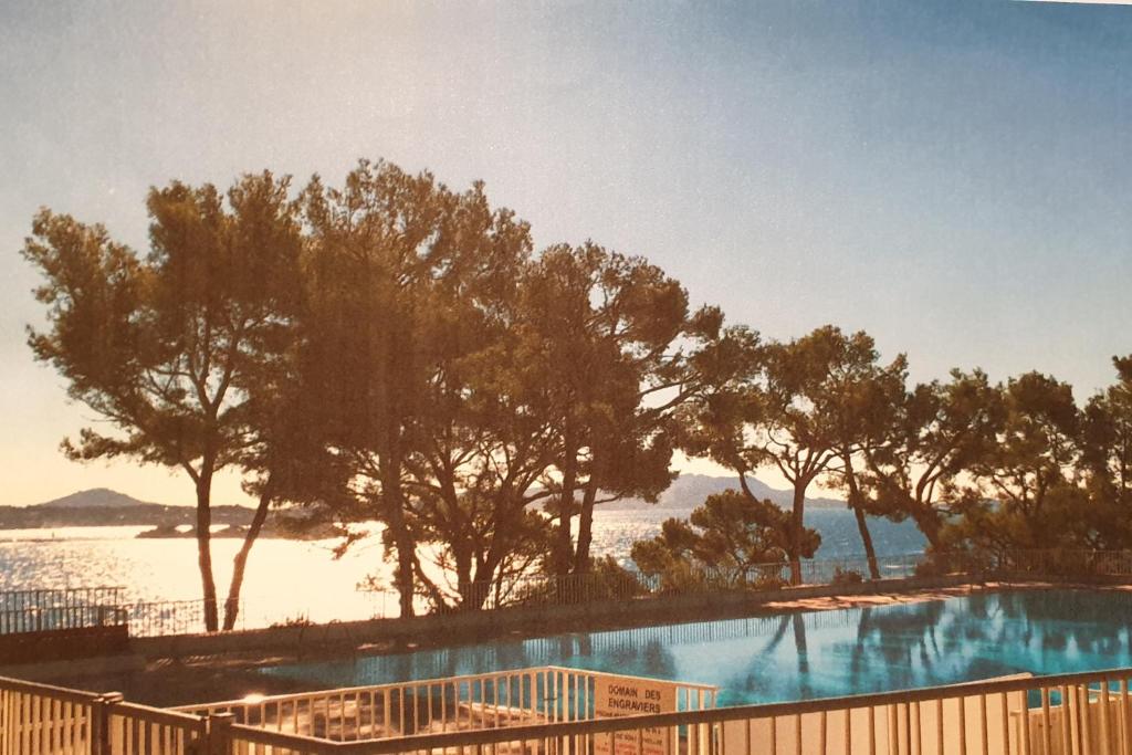 a swimming pool with trees and a body of water at Appart vue d'exception sur la mer in Bandol