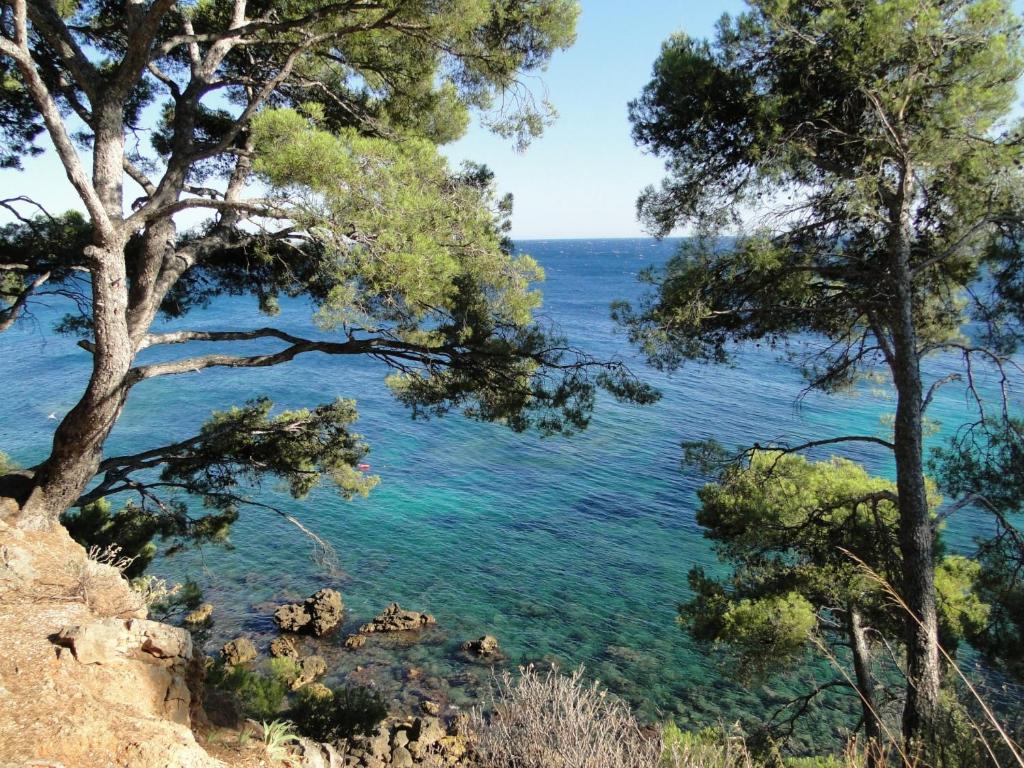 a view of the water from a hill with trees at Appart vue d'exception sur la mer in Bandol
