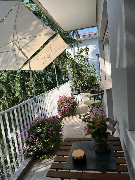 Zahrada ubytování Villa Due Giardini