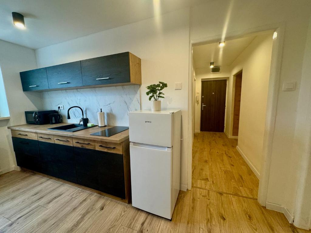 Kuchyň nebo kuchyňský kout v ubytování Apartmán Strážske s balkónom
